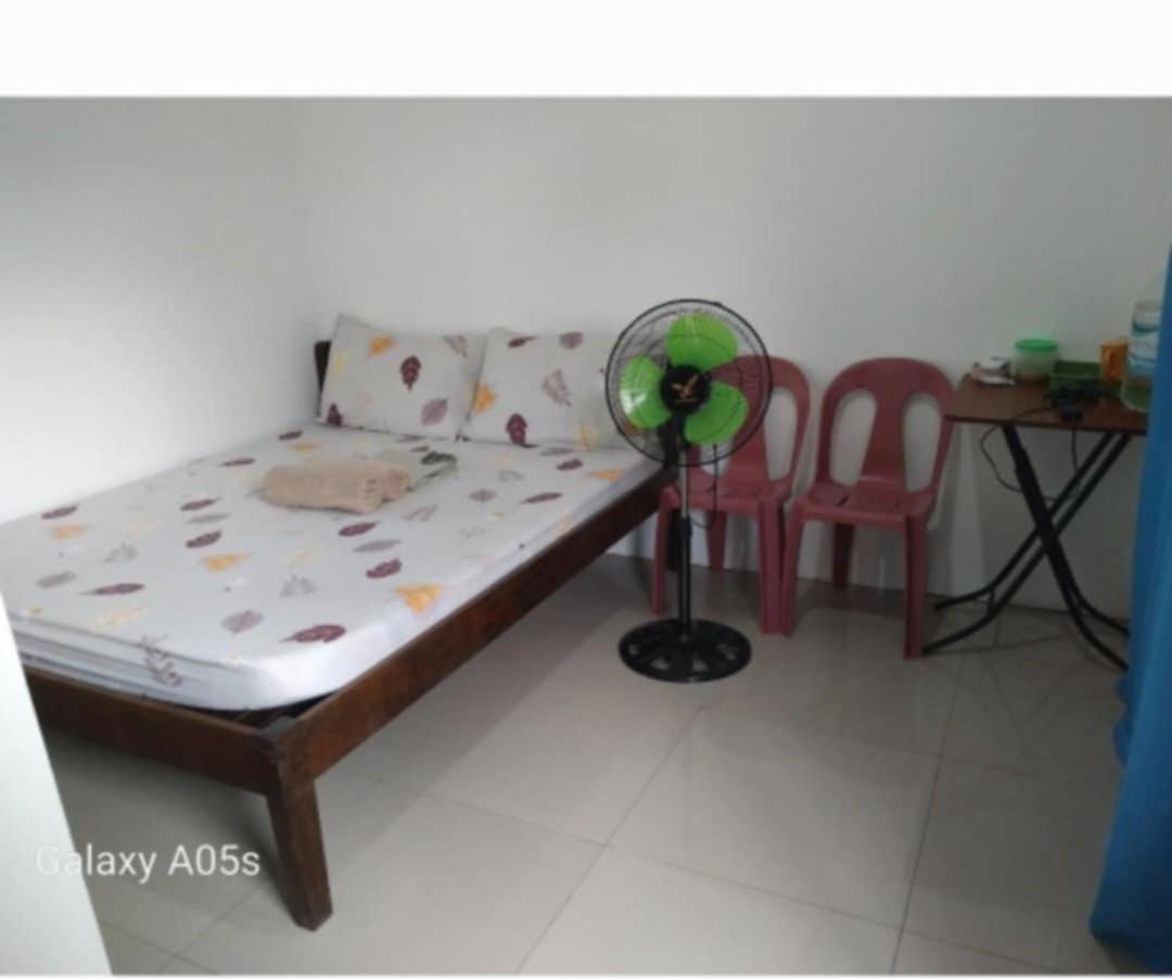 Francis Home Stay Port Barton Bonifacio Street San Vicente  Eksteriør billede